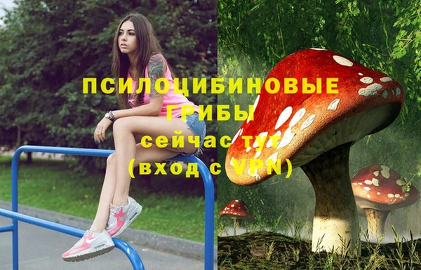 ALPHA-PVP Арсеньев
