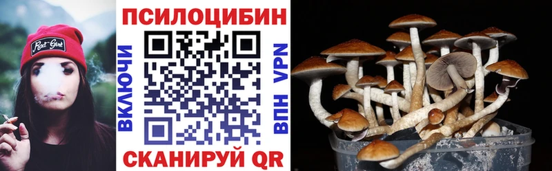 omg сайт Волгоград Галлюциногенные грибы GOLDEN TEACHER